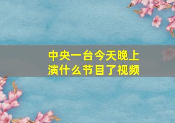 中央一台今天晚上演什么节目了视频