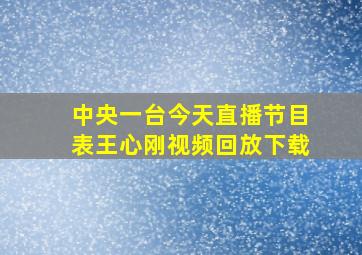 中央一台今天直播节目表王心刚视频回放下载