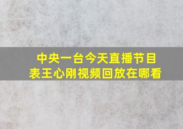 中央一台今天直播节目表王心刚视频回放在哪看