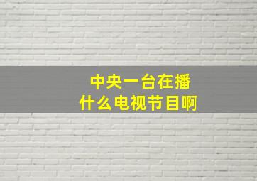 中央一台在播什么电视节目啊