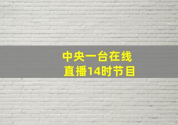 中央一台在线直播14时节目