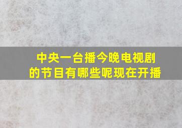 中央一台播今晚电视剧的节目有哪些呢现在开播