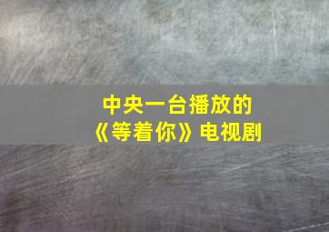 中央一台播放的《等着你》电视剧