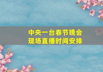 中央一台春节晚会现场直播时间安排