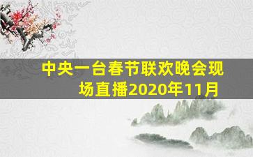 中央一台春节联欢晚会现场直播2020年11月