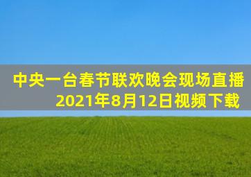 中央一台春节联欢晚会现场直播2021年8月12日视频下载