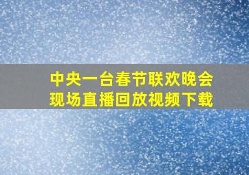 中央一台春节联欢晚会现场直播回放视频下载