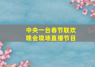 中央一台春节联欢晚会现场直播节目