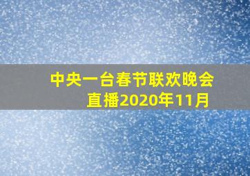 中央一台春节联欢晚会直播2020年11月