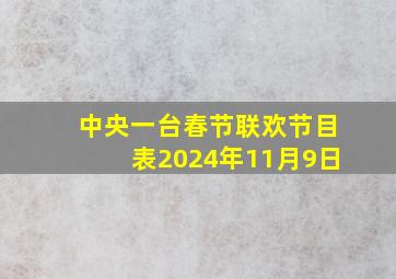 中央一台春节联欢节目表2024年11月9日