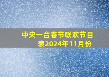 中央一台春节联欢节目表2024年11月份