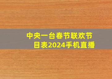 中央一台春节联欢节目表2024手机直播