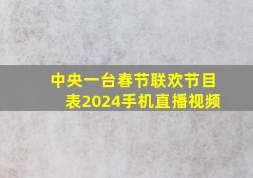 中央一台春节联欢节目表2024手机直播视频