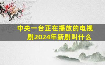 中央一台正在播放的电视剧2024年新剧叫什么