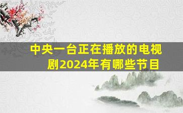 中央一台正在播放的电视剧2024年有哪些节目