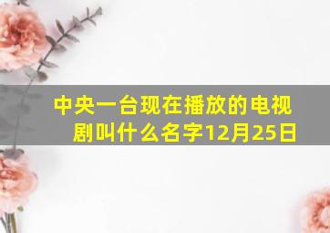 中央一台现在播放的电视剧叫什么名字12月25日