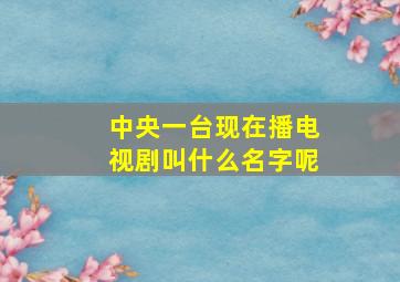 中央一台现在播电视剧叫什么名字呢