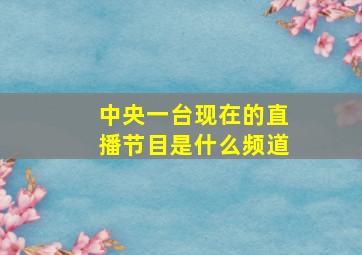 中央一台现在的直播节目是什么频道