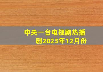 中央一台电视剧热播剧2023年12月份