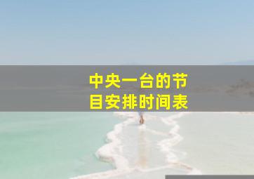 中央一台的节目安排时间表