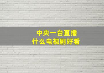 中央一台直播什么电视剧好看