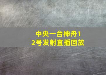 中央一台神舟12号发射直播回放