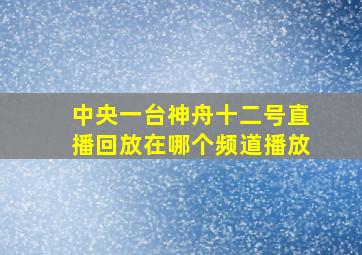 中央一台神舟十二号直播回放在哪个频道播放