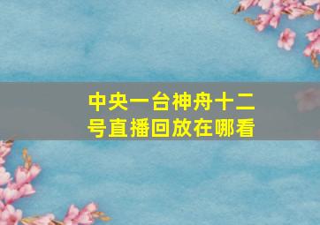 中央一台神舟十二号直播回放在哪看