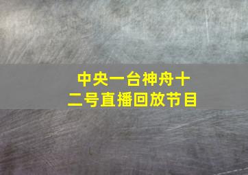 中央一台神舟十二号直播回放节目