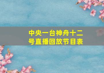 中央一台神舟十二号直播回放节目表