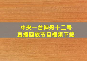 中央一台神舟十二号直播回放节目视频下载