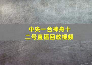 中央一台神舟十二号直播回放视频