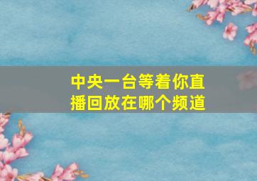 中央一台等着你直播回放在哪个频道