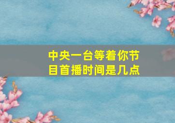 中央一台等着你节目首播时间是几点