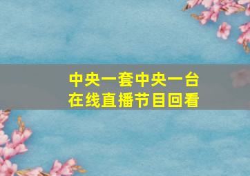 中央一套中央一台在线直播节目回看