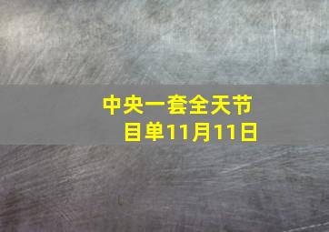 中央一套全天节目单11月11日