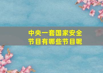 中央一套国家安全节目有哪些节目呢