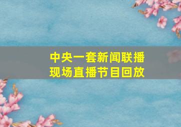 中央一套新闻联播现场直播节目回放