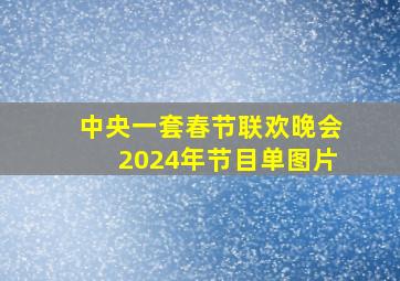 中央一套春节联欢晚会2024年节目单图片