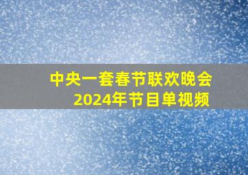 中央一套春节联欢晚会2024年节目单视频