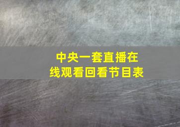 中央一套直播在线观看回看节目表