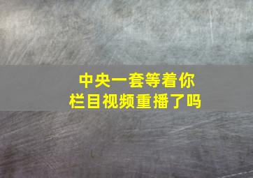 中央一套等着你栏目视频重播了吗