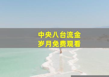 中央八台流金岁月免费观看