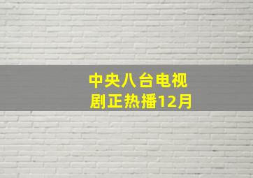 中央八台电视剧正热播12月