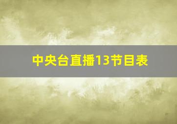 中央台直播13节目表