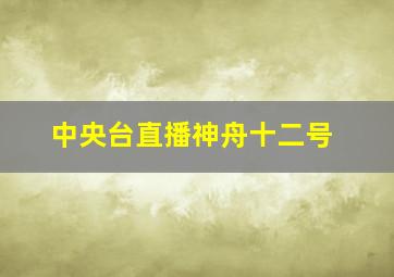 中央台直播神舟十二号