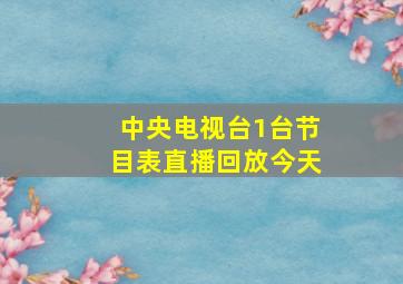 中央电视台1台节目表直播回放今天