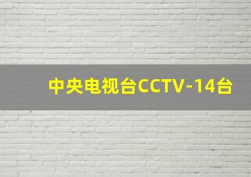 中央电视台CCTV-14台