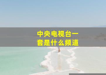 中央电视台一套是什么频道