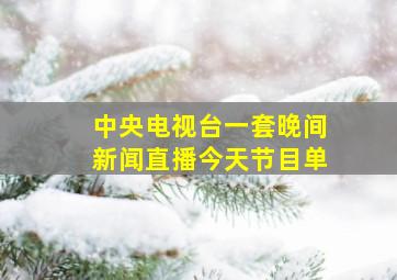 中央电视台一套晚间新闻直播今天节目单